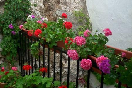 Casa Con Encanto, Escapadas Romanticas Salobreña Εξωτερικό φωτογραφία